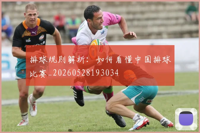 排球规则解析:如何看懂中国排球比赛_20260528193034