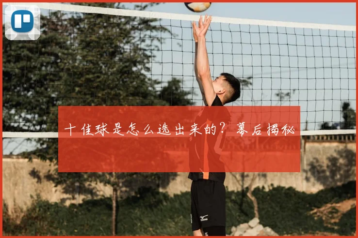 十佳球是怎么选出来的？幕后揭秘